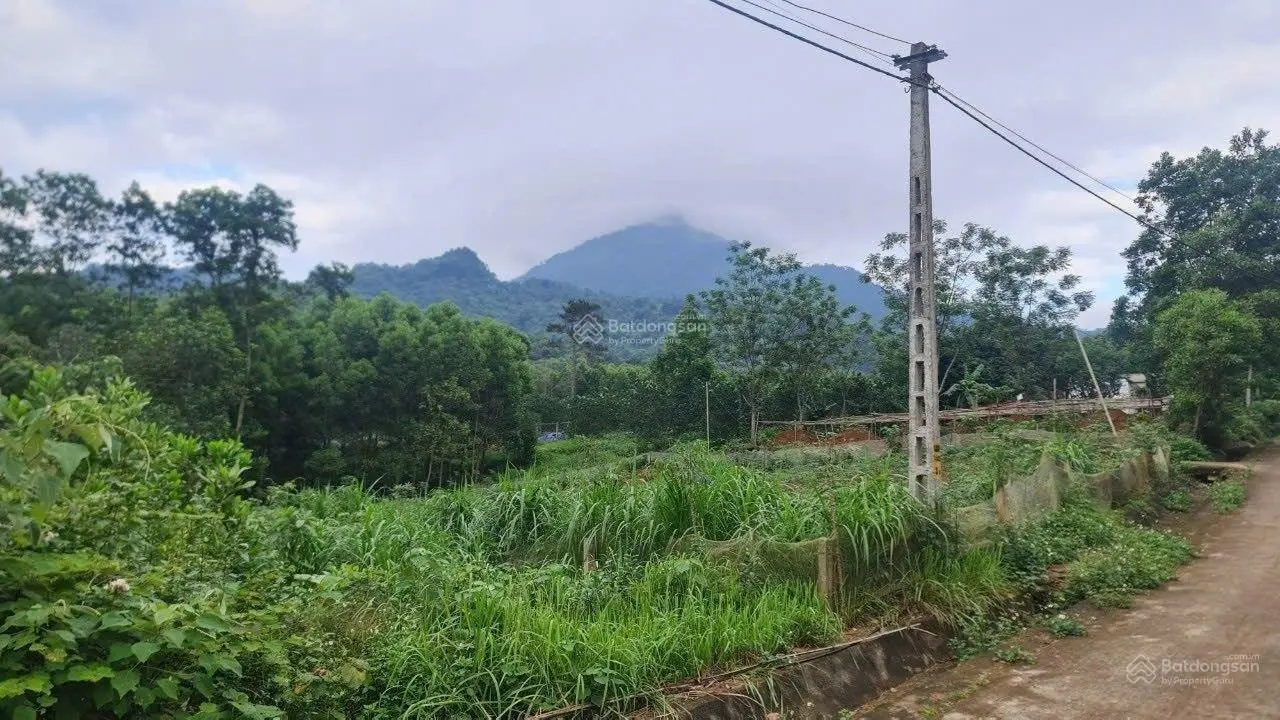 Cần bán lô đất tại thôn Hợp Sơn, xã Ba Vì, Ba Vì, Hà Nội có diện tích 1.801,5m2, đã sẵn nhà cấp 4.