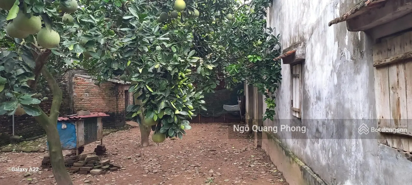 Bán đất Lê Chi Gia Lâm, DT 200m2 full thổ cư