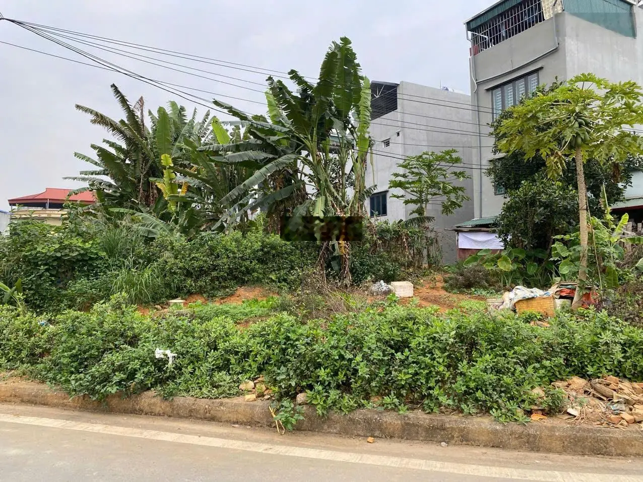 Bán đất đấu giá đường Nguyễn Trường Tộ, phường Nam Cường, Lào Cai, đầu tư thắng chắc