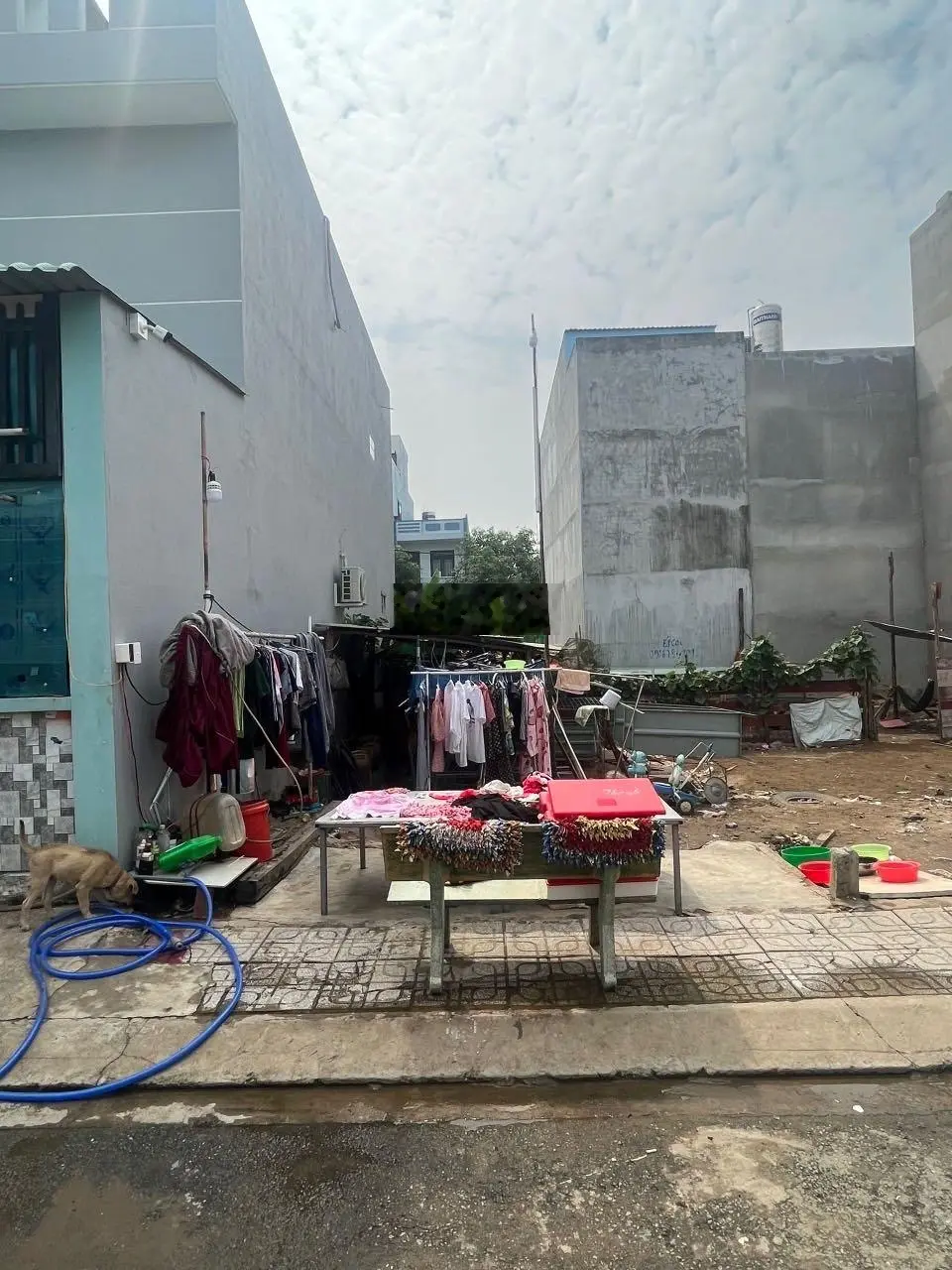 Chính chủ cần tiền bán nhanh lô đất đường Số 12 Tam Đa, Phường Trường Thạnh, Quận 9