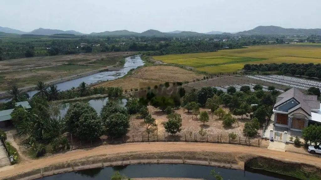 Bán gấp lô đất thổ cư gần KCN Ninh Sơn