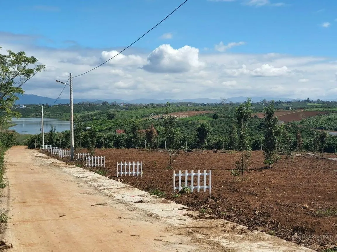 Hạ giá bán nhanh lô view hồ Phúc Thọ, Lâm Đồng