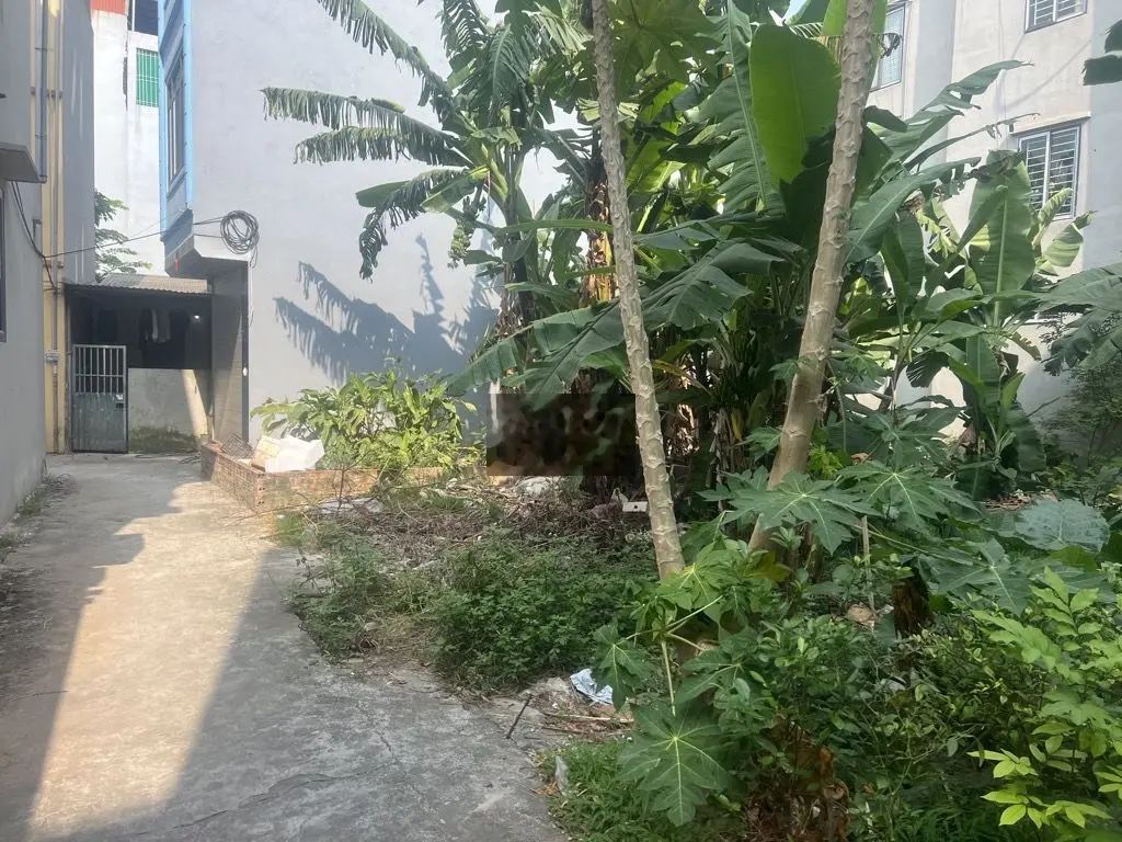 Bán đất đường Yên Bình, tổ 15 Yên Nghĩa,48m2, mặt tiền 4m, giá 56tr/m2