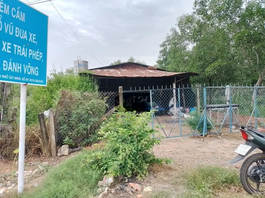Đất cô ruột bán nhanh ngay MT DT784 - Giá 3,1 tỷ / 426m2 (70m2 thổ )